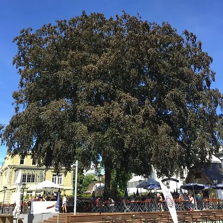 Rhein Melodie Riverview Luxury Apartamento Lago de Constança