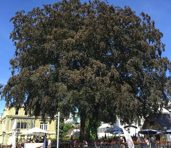 Rhein Melodie Riverview Luxury Appartement Constance